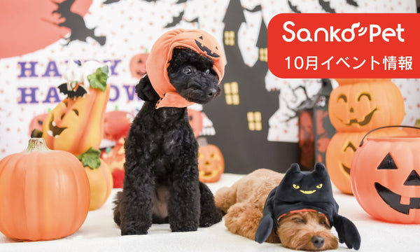 【10月】イベント出店情報2025