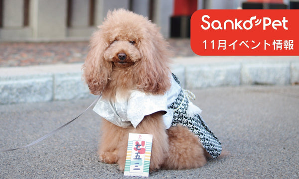 ペットイベント出展情報【11月2025】