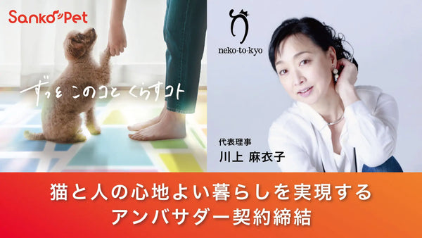 一般社団法人ねこと今日とアンバサダー契約を締結