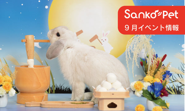 ペットイベント出展情報【9月2025】