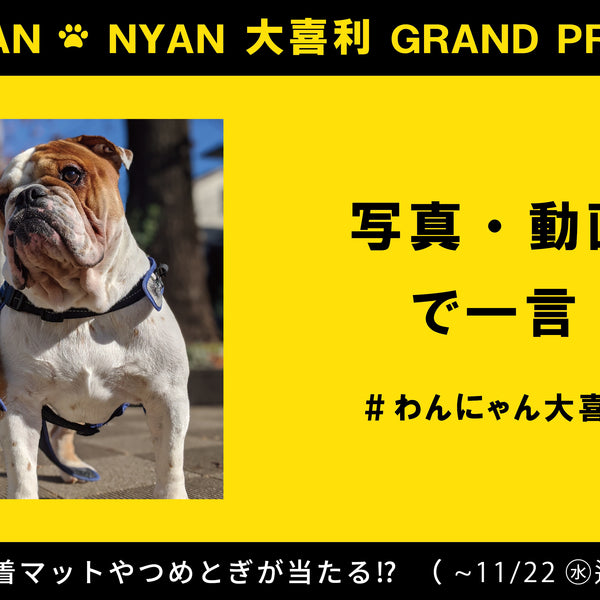 LP__1_600x600_crop_center.jpg?