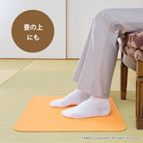 立ち上がりマット