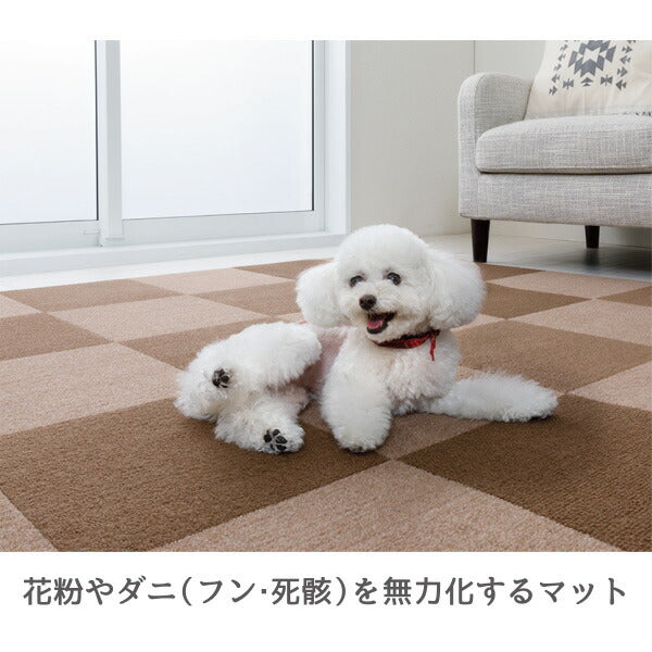［30×30cm］吸着撥水プレミアムマット／絨毯タイプ（表面：ループ状）